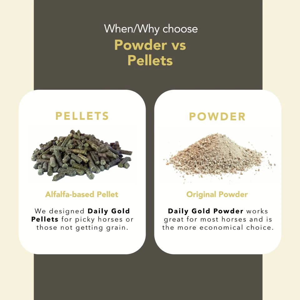 Daily Gold® - Horse Gut Supplements - Image 14