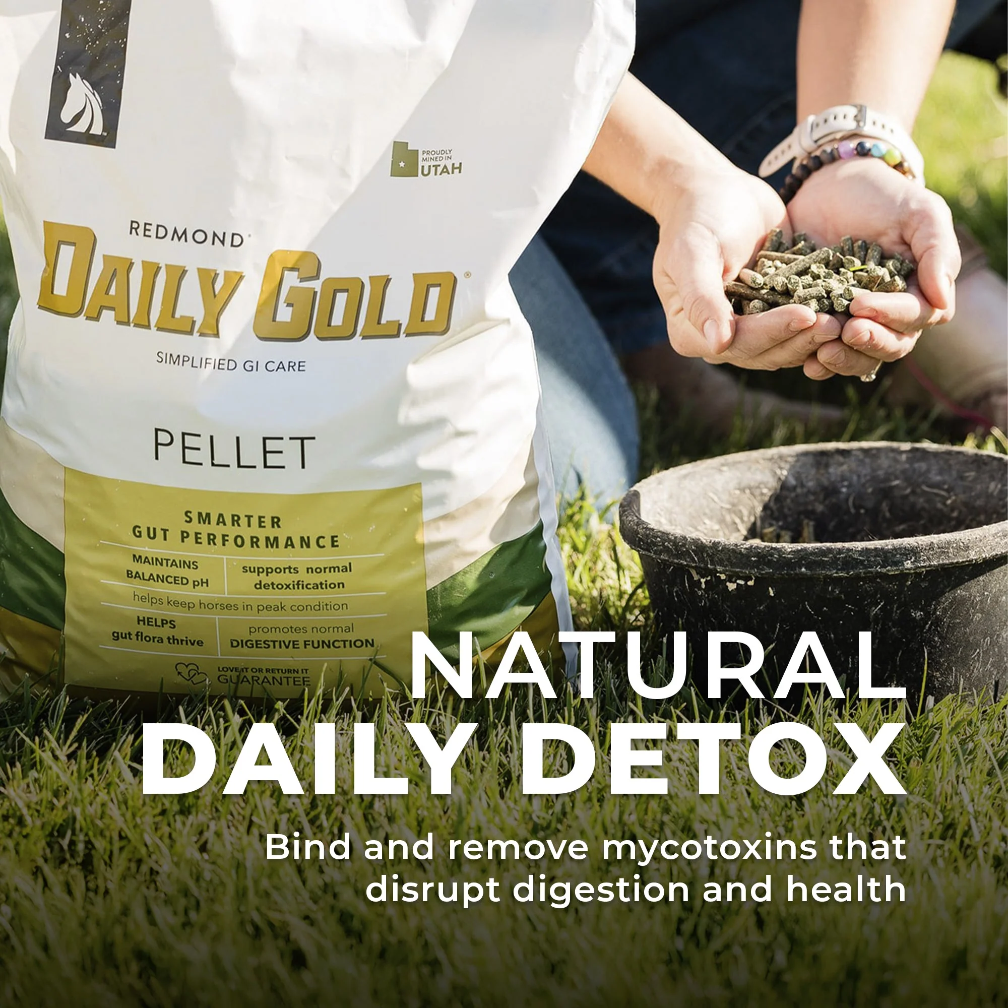 Daily Gold® - Horse Gut Supplements - Image 7
