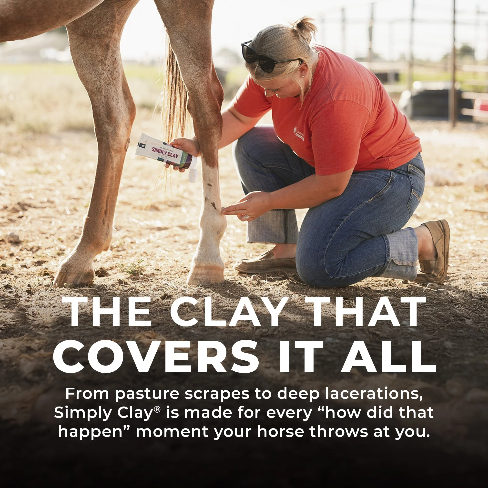 Simply Clay Salve – Bentonite Clay Horse Wound Care - Image 4