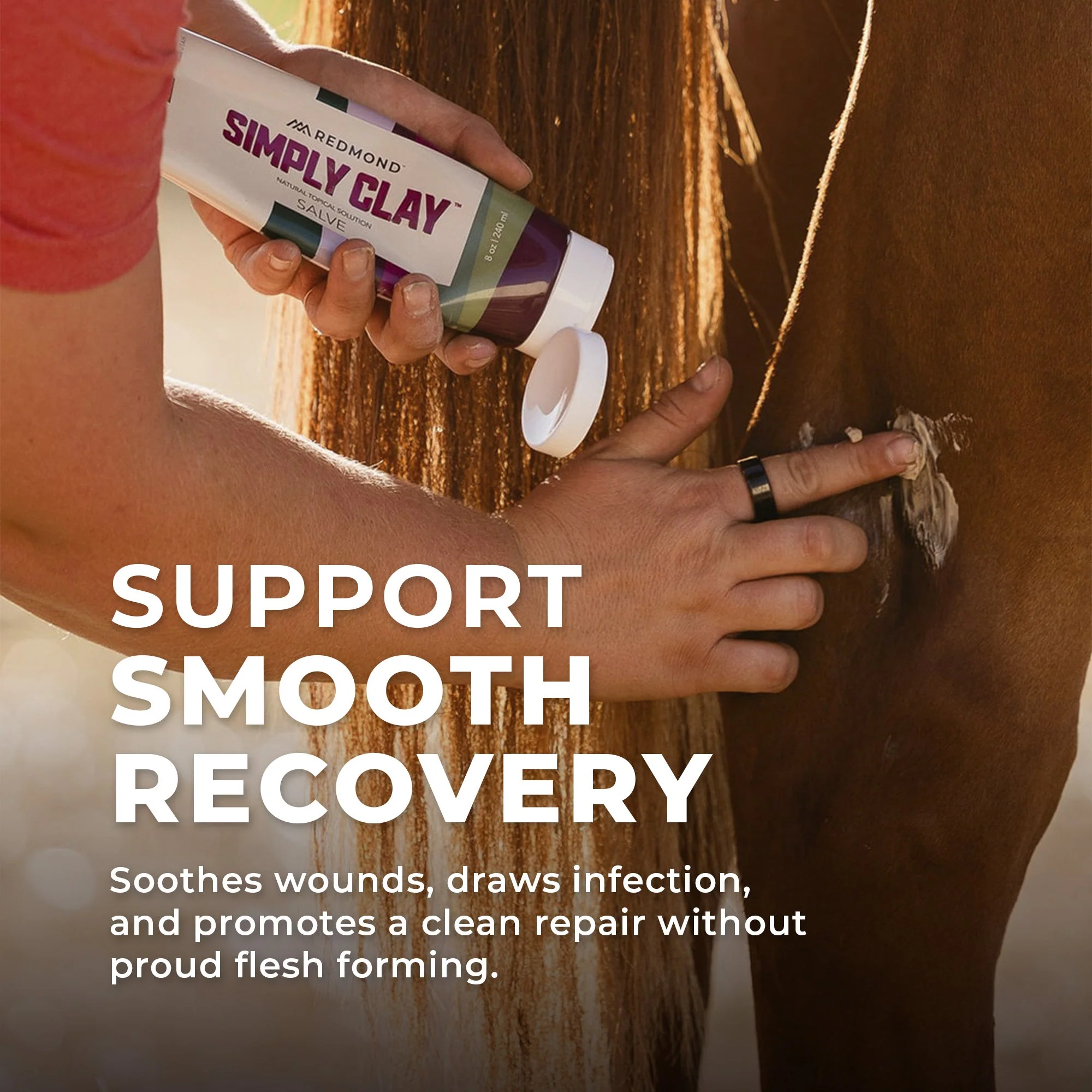 Simply Clay Salve – Bentonite Clay Horse Wound Care - Image 5