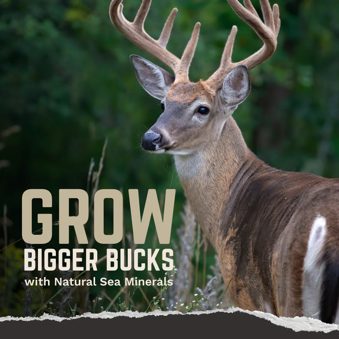 Trophy Rock Four65® - Granular Minerals For Deer - Image 4