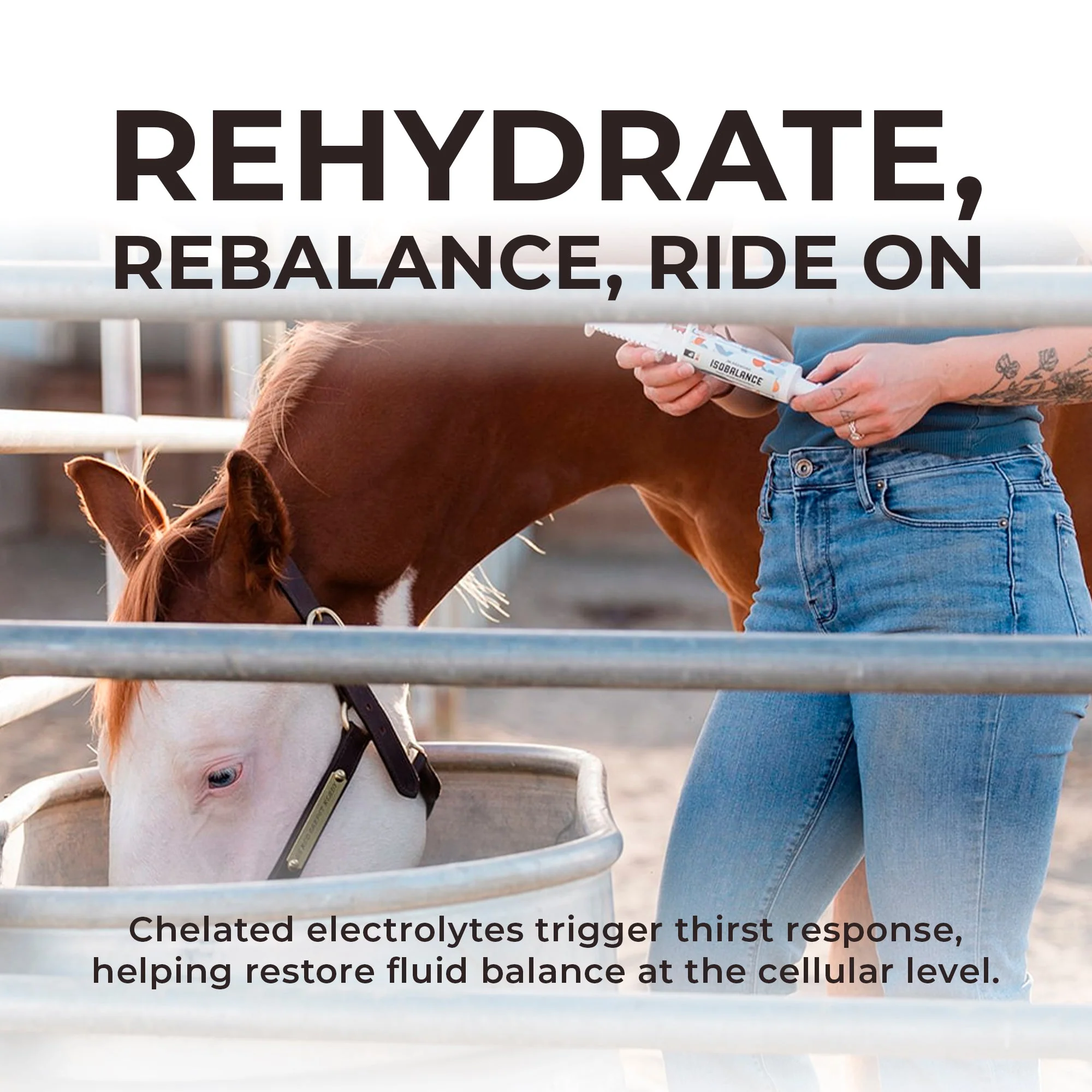 IsoBalance - Horse Electrolyte Paste - Image 5