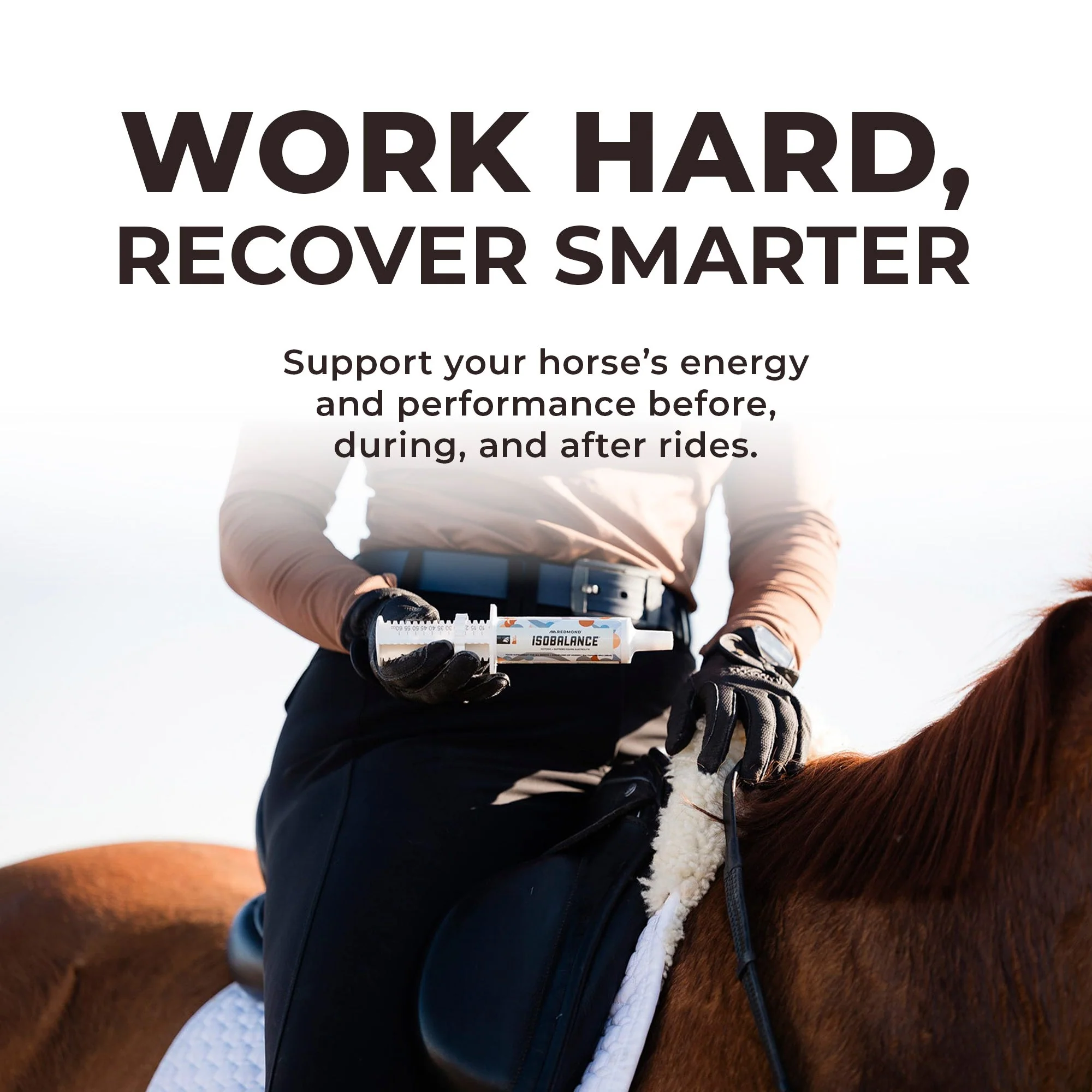 IsoBalance - Horse Electrolyte Paste - Image 8