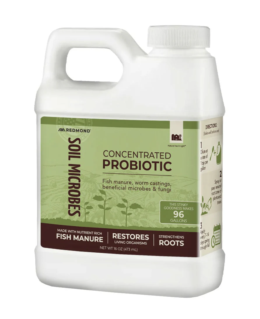 Soil Microbes - Image 2