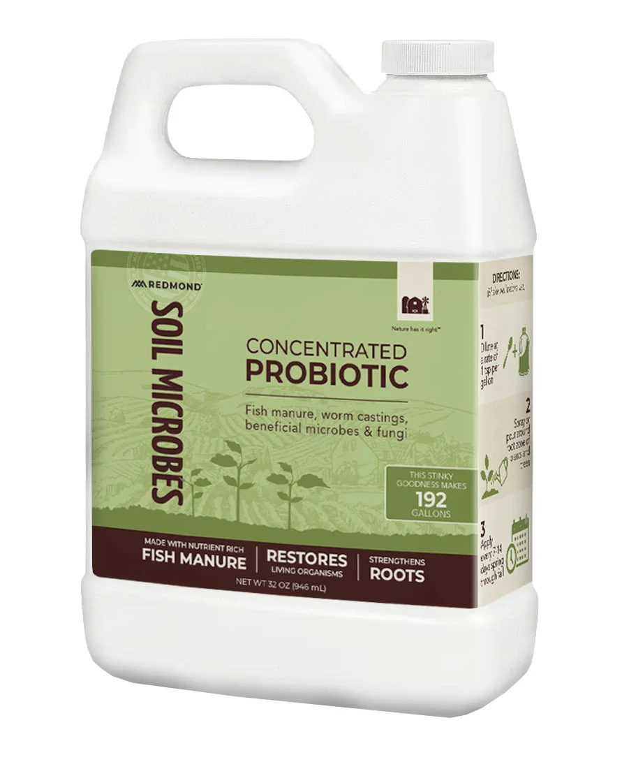 Soil Microbes - Image 3
