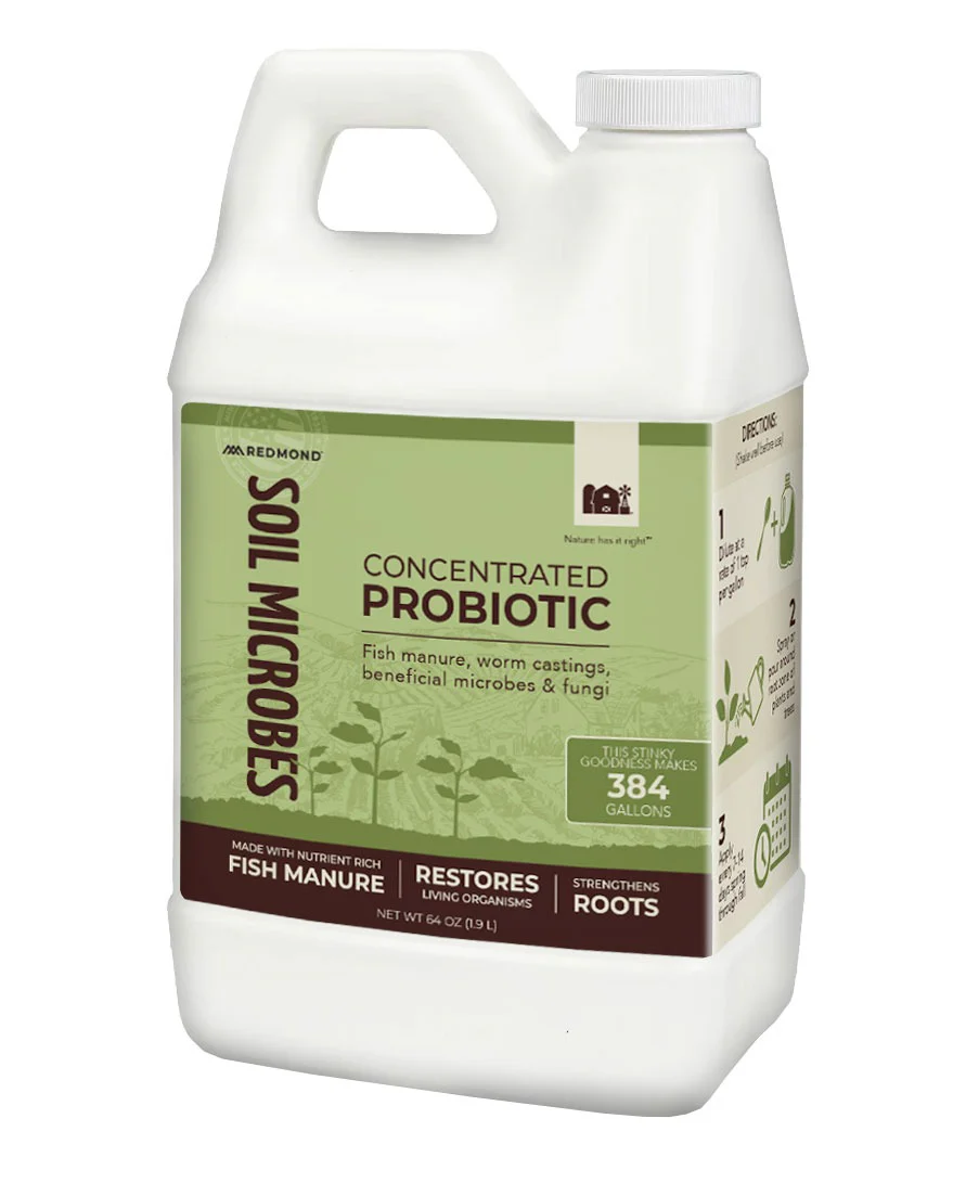 Soil Microbes - Image 4