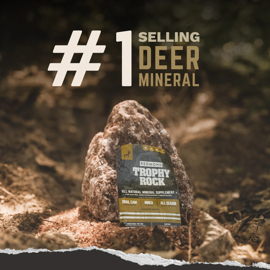 Trophy Rock® 10lb - Image 2