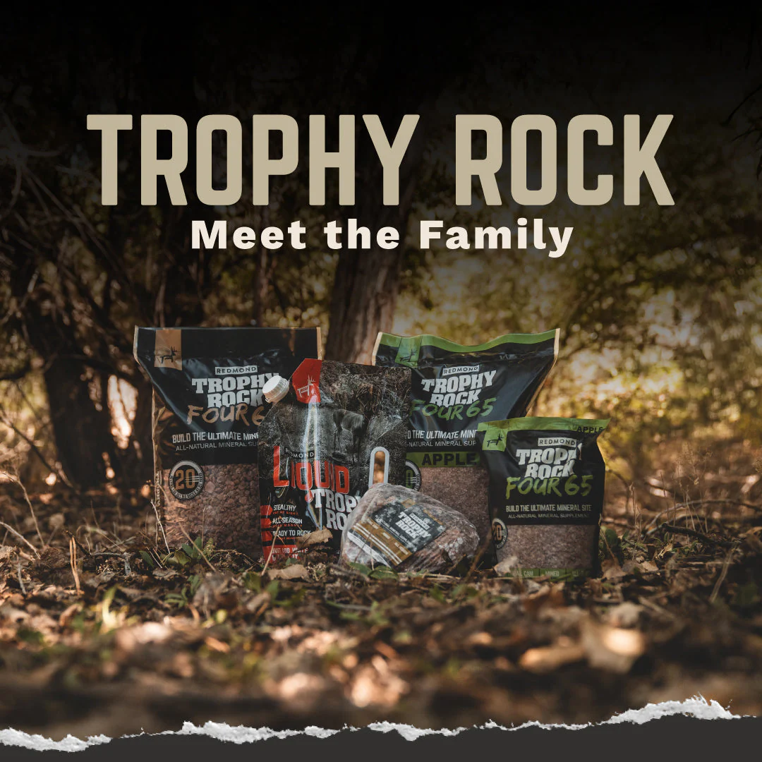 Trophy Rock® 10lb - Image 6